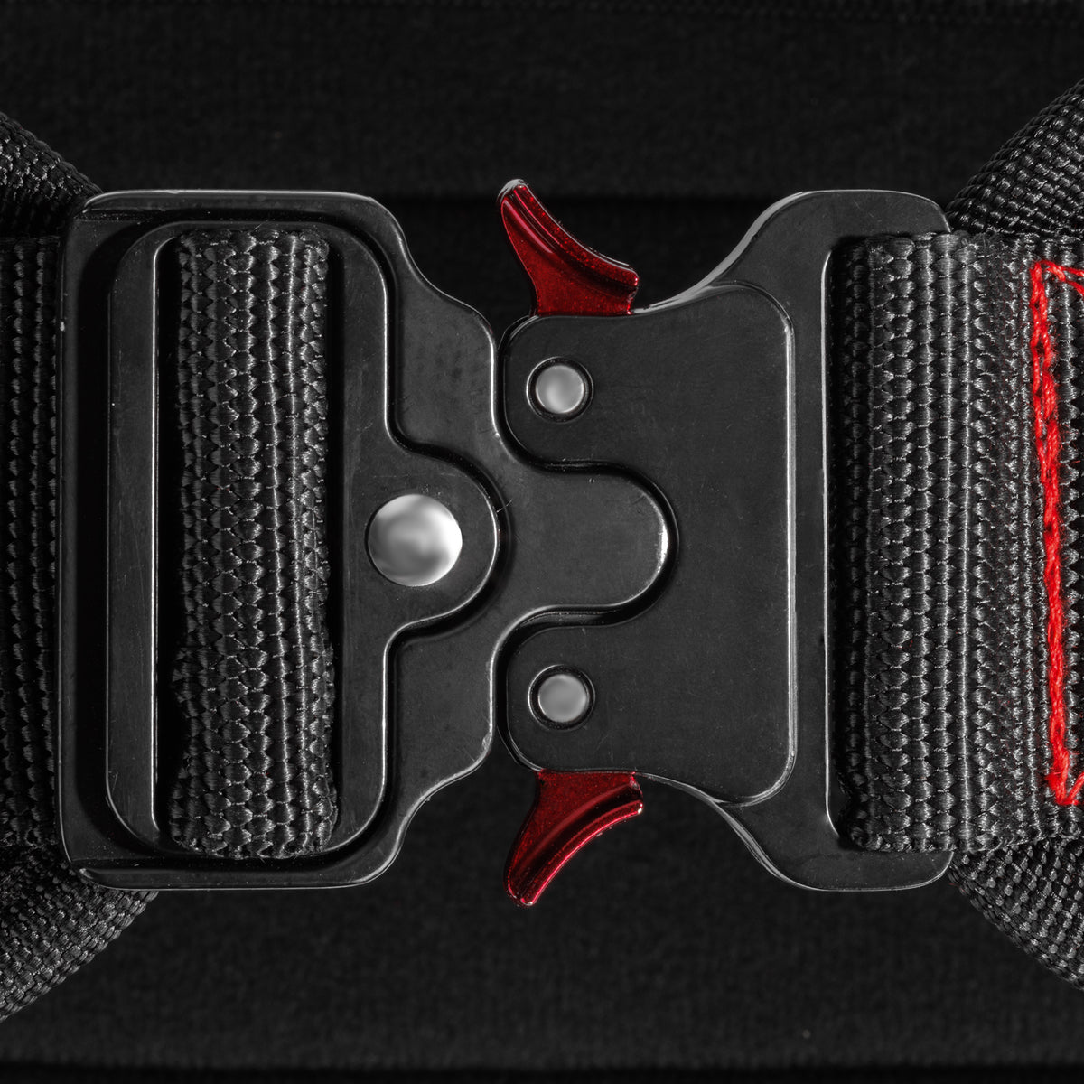 ZEUZ Dipping Belt - NO EXCUSES