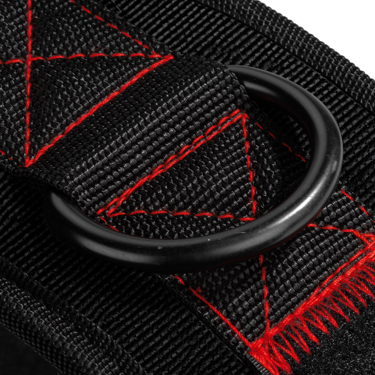 ZEUZ Dipping Belt - NO EXCUSES