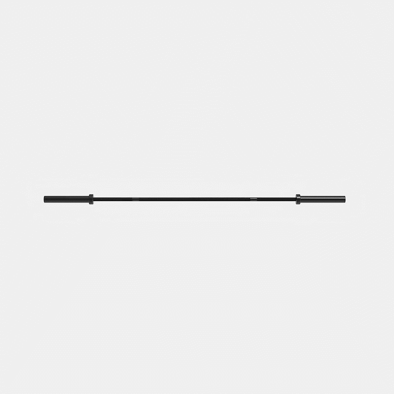 ZEUZ Techniek Halterstang - 10 KG - 220 CM